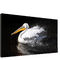 High Definition 49" Seamless Video Wall LCD Monitors For Meeting Conference Room